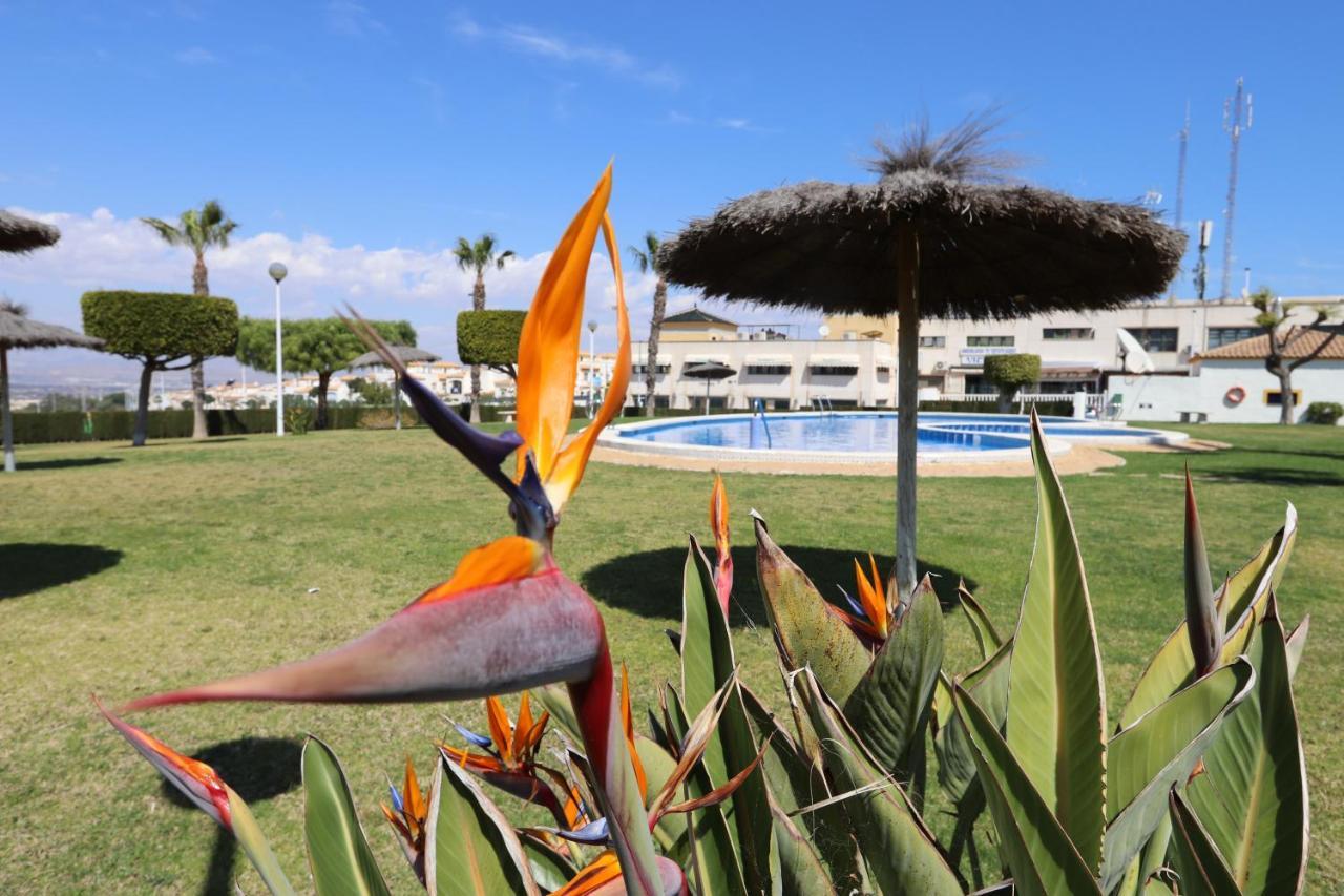 Apartment 053 - Altomar Ii 003 - Comfortholidays Gran Alacant